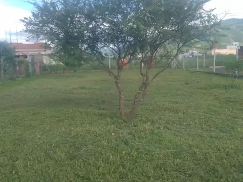 Campo Quijano. Juan Bautista Alberdi 100