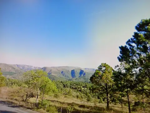 VENTA LOTE 1.5HA EN SAN CLEMENTE SOBRE RUTA C/RIO