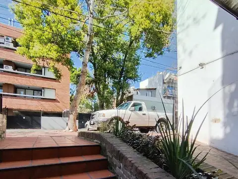 Diego Palma 100