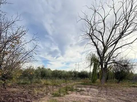 Terreno en Venta 29  mts Frente