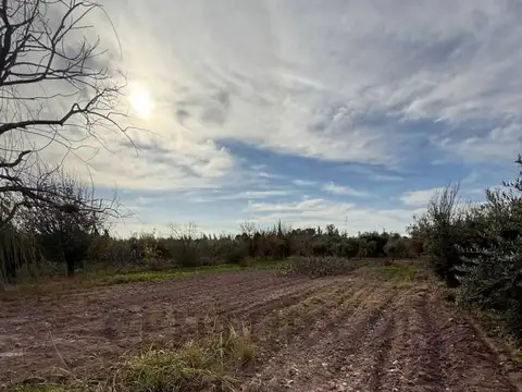 Terreno en Venta 115  mts Fondo