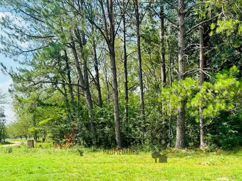 Rio Sauce Grande, Barrio Amarylis.