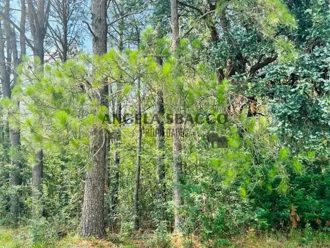 Terreno en Venta de 1750,0 m2