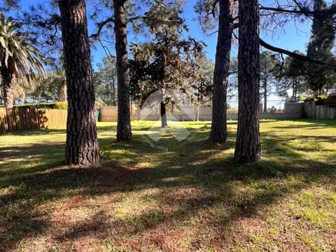 Terreno en Venta 34  mts Fondo