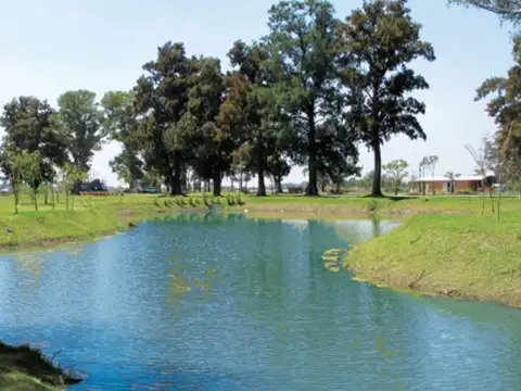 Terreno en Venta 21  mts Frente