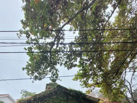 Avenida Morrison 8100