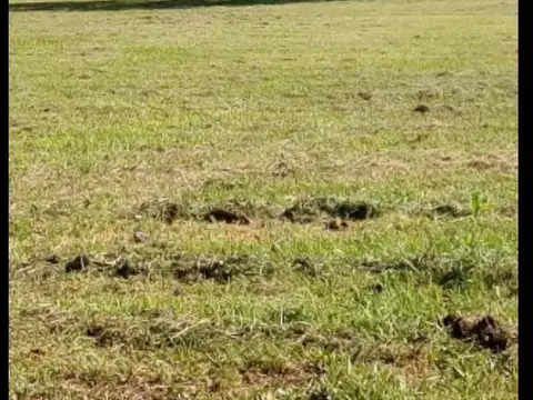 Terreno en Venta 54  mts Fondo