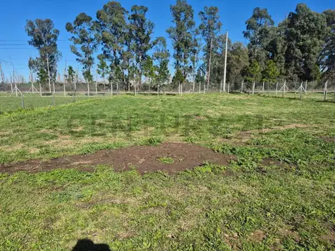 Terreno en Venta 45  mts Fondo