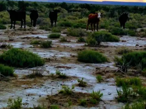 Campo en Venta de 3  ha
