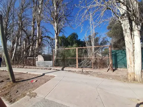 Juan Manuel Estrada 500