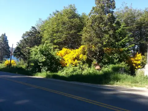 Avenida Bustillo 100