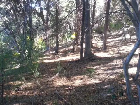 Terreno en Venta de 8461,0 m2