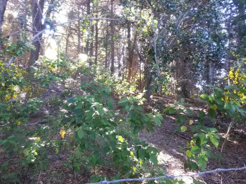 Terreno en Venta en San Carlos de Bariloche, USD 850.000