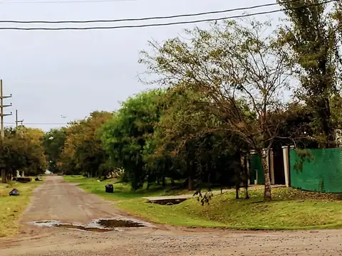 Coronel Lavalle 1300