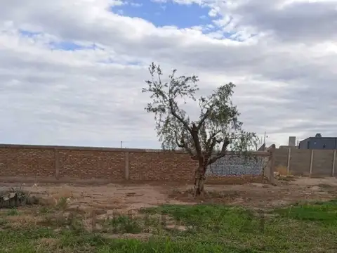 Terreno en Venta en Buena Nueva, USD 11.000