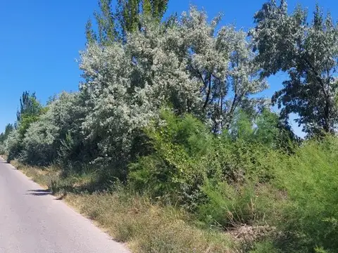 Ruta Provincial 313
