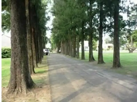 Excelente lote central de 960m2 en venta en la Otilia