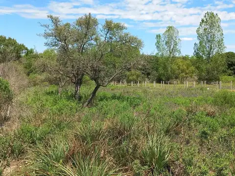 Terreno en Venta de 1440,0 m2