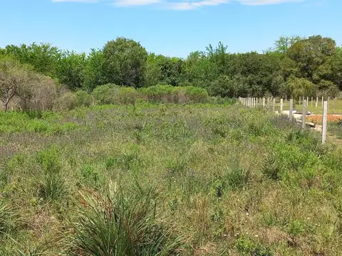 Terreno en Venta 72  mts Fondo