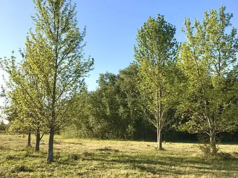 LOTES FINANCIADOS - Barrio El Paso - Del Viso