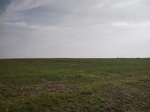 Campo en Venta de 55  ha