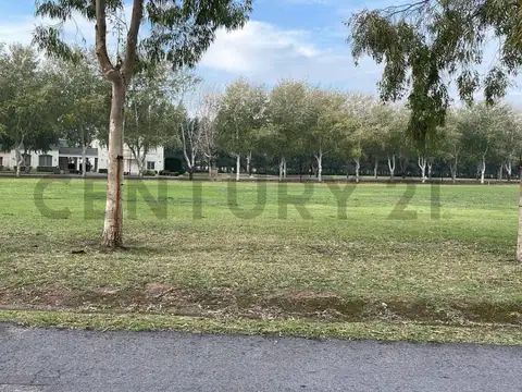 Terreno en Venta 43  mts Fondo