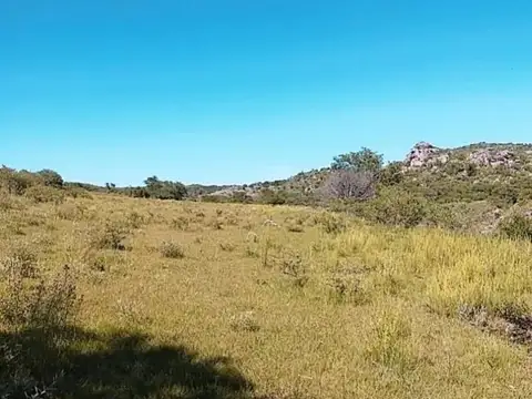 Campo Calmayo