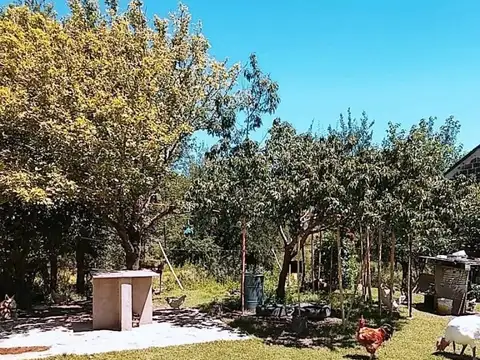 Campo Calmayo
