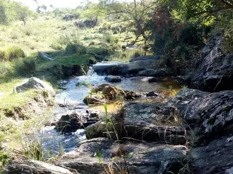 Campo en Venta Ganadero