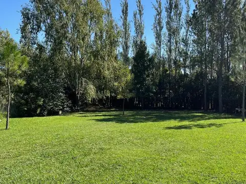 Rodriguez casi Mar del Plata al 6200