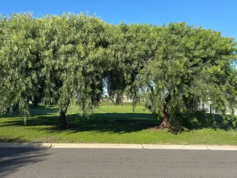 BARRIO SAN SEBASTIAN AREA 1