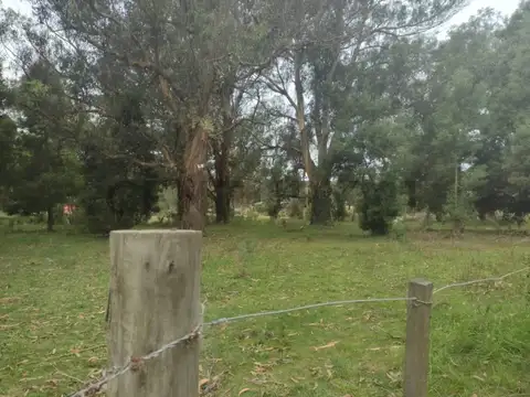 EXCELENTE LOTE EN SAN JACINTO ID