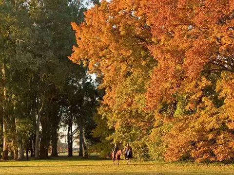 Terreno en Venta en Estancia Villa Maria, USD 60.000