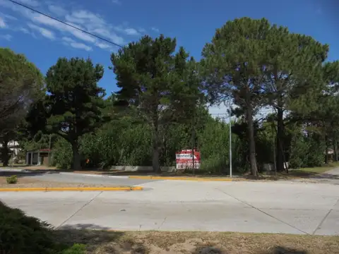 AV. SAN BERNARDO