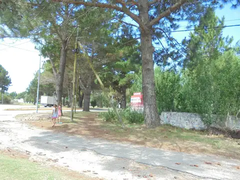 AV. SAN BERNARDO
