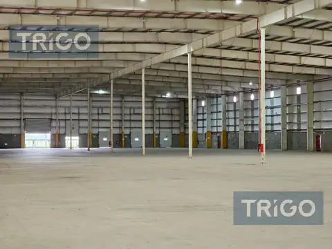 Nave industrial y logística con T3 y Sprinklers en Alquiler, Leasing y Venta Polo Industrial Ezeiza