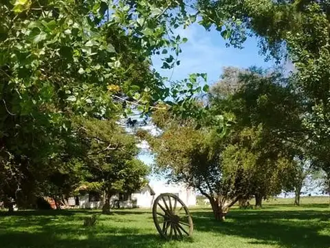 Perdices, a 2 Kms de Ruta 14