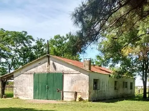 Perdices, a 2 Kms de Ruta 14