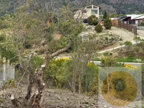 De las malvas y monte moro