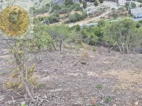 De las malvas y monte moro