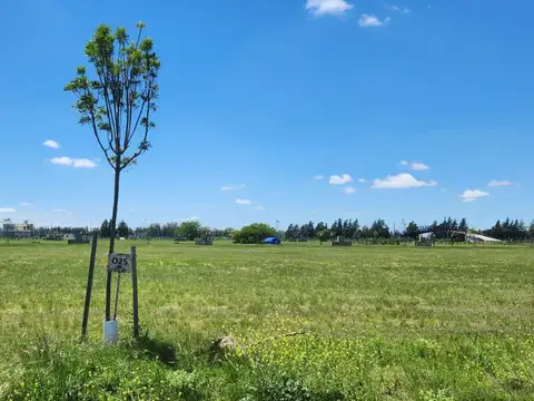 Terreno en Venta de 830,0 m2