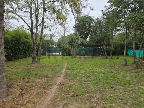 OPORTUNIDAD EN ANISACATE