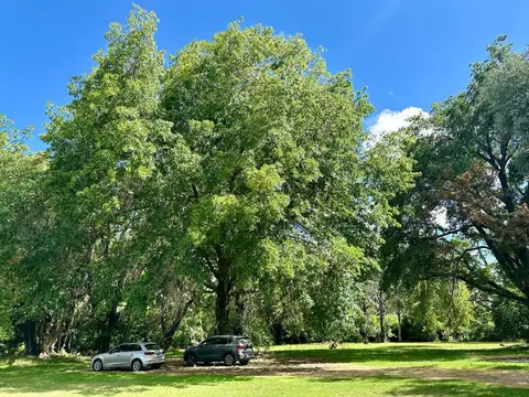 Terreno en Venta de 4394,0 m2