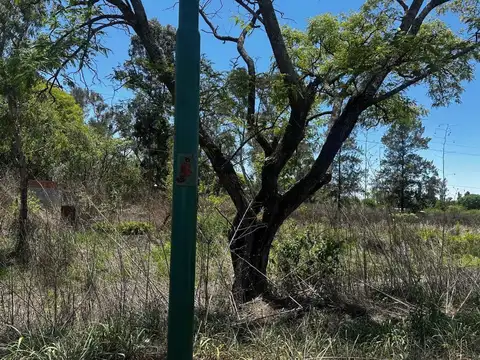 Terreno en Venta en Rosario De Lerma, USD 45.000