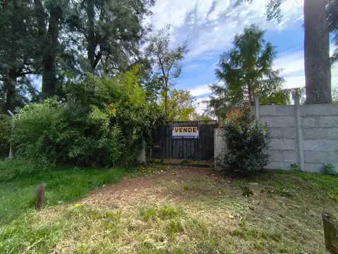 Terreno en Francisco Alvarez