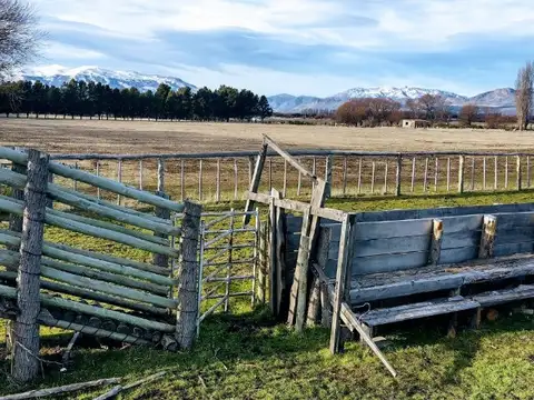 PROPIEDADES RURALES - CHACRA - TREVELÍN
