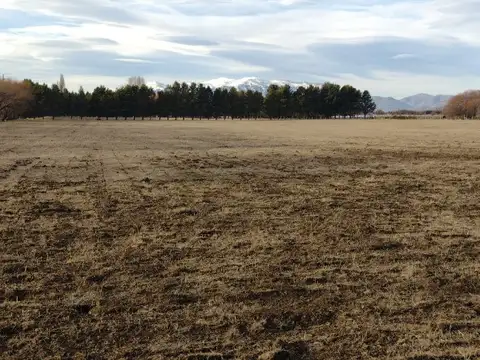 Campo en Venta Chacra