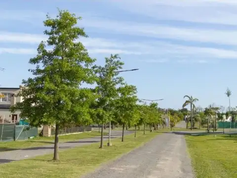 Terreno - Los Juncos