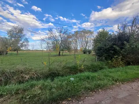 Terreno en Venta 50  mts Frente