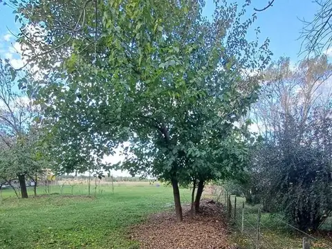 Los Alamos - Estacion Gomez